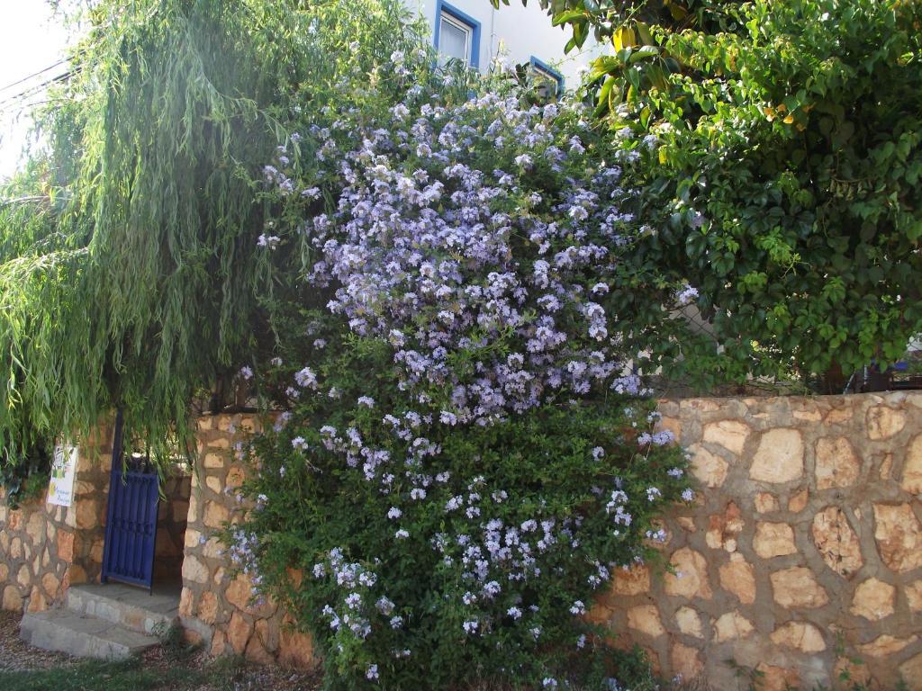 Miramar Pansiyon Kaş Exterior foto
